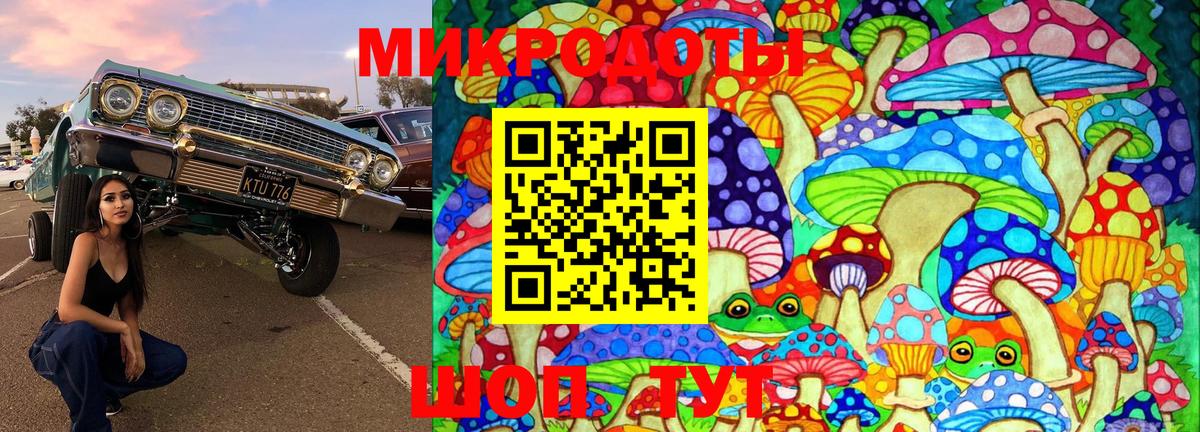 Псилоцибиновые грибы GOLDEN TEACHER Амурск