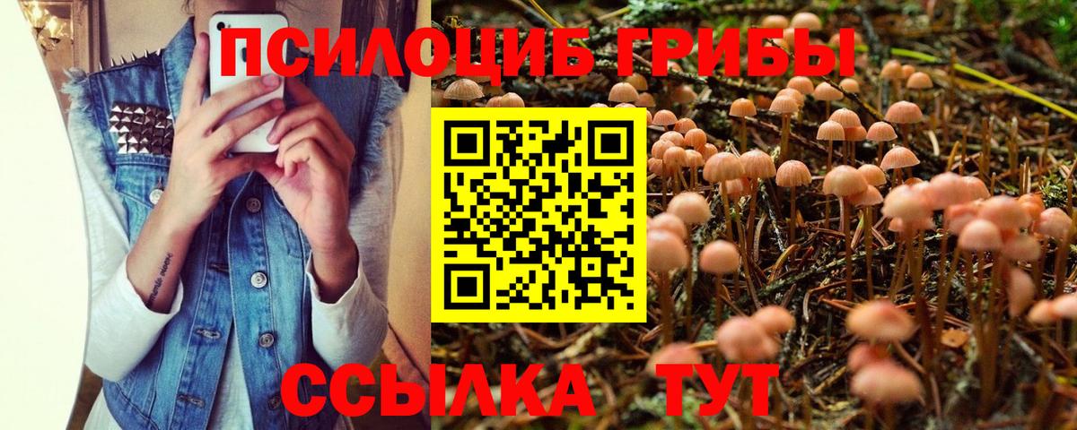 Псилоцибиновые грибы MAGIC MUSHROOMS  Вход с VPN  Галлюциногенные грибы Psilocybe  Амурск 